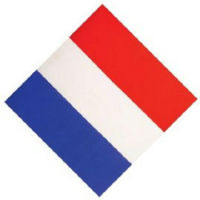 BANDANA FRANCE TRICOLORE