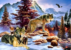 PUZZLE LOUPS FAMILLE 1000 PIECES
