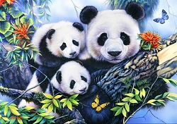 PUZZLE FAMILLE DE PANDAS 1000 PIECES