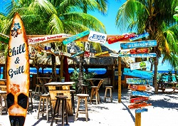 PUZZLE PLAGE DE REVES SURF 3000 PIECES