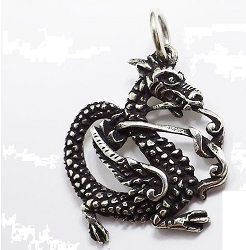 PENDENTIF DRAGON ARGENT VERITABLE MEDAILLE CHAINE COLLIER